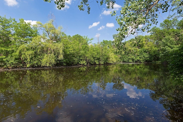 1623 Black Oaks Pl N, Plymouth, MN 55447 - water view featuring a heavily wooded area