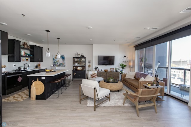 living room featuring light wood-type flooring