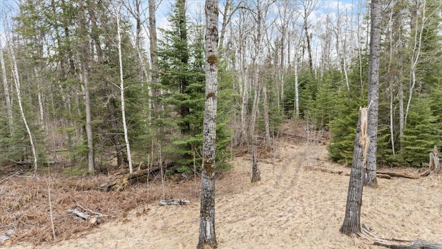 6301 Hunters Pass, Greenwood Twp, MN 55790 - view of local wilderness