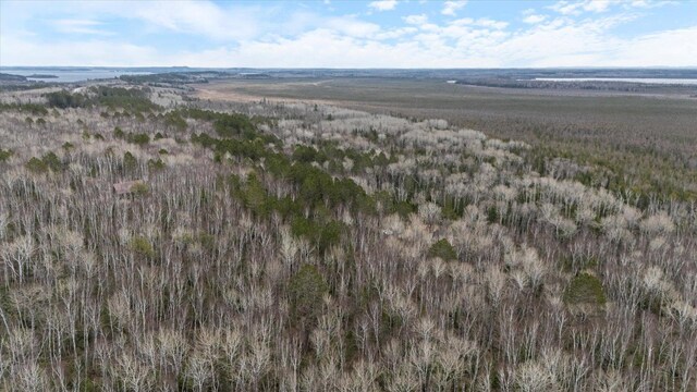 6301 Hunters Pass, Greenwood Twp, MN 55790 - aerial view of property's location