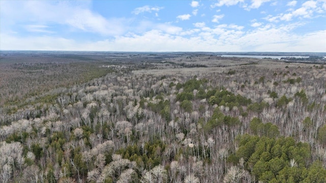 6301 Hunters Pass, Greenwood Twp, MN 55790 - aerial view of property's location featuring a forest
