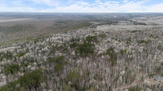 6301 Hunters Pass, Greenwood Twp, MN 55790 - aerial view of property's location with a forest