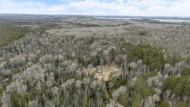6301 Hunters Pass, Greenwood Twp, MN 55790 - aerial view of property and surrounding area featuring a forest