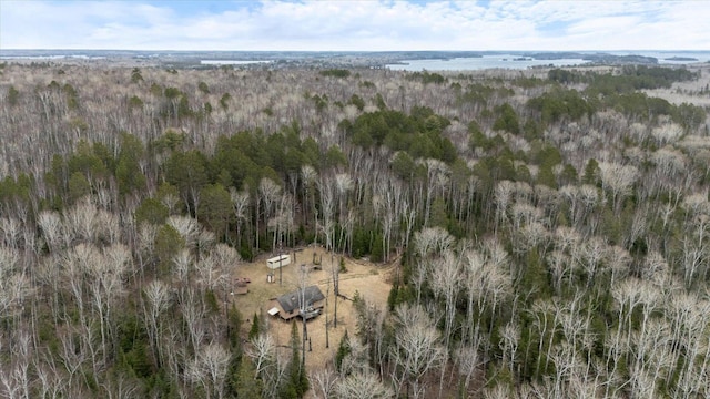 6301 Hunters Pass, Greenwood Twp, MN 55790 - aerial view of property's location featuring a heavily wooded area