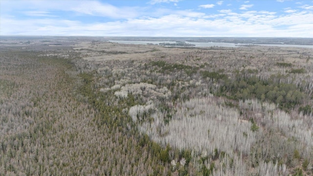6301 Hunters Pass, Greenwood Twp, MN 55790 - aerial view of a forest
