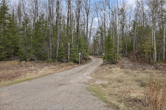 6301 Hunters Pass, Greenwood Twp, MN 55790 - view of dirt / gravel road featuring a view of trees