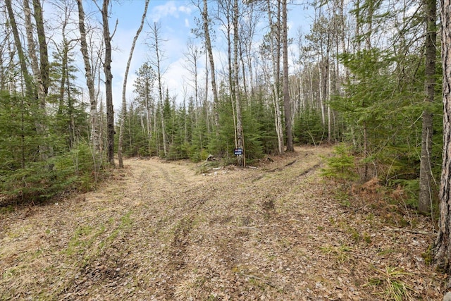 6301 Hunters Pass, Greenwood Twp, MN 55790 - view of woods