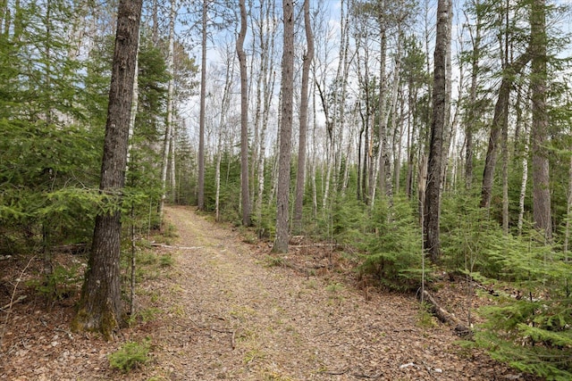 6301 Hunters Pass, Greenwood Twp, MN 55790 - view of road with a wooded view