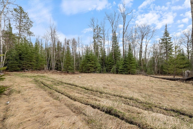 6301 Hunters Pass, Greenwood Twp, MN 55790 - view of woods