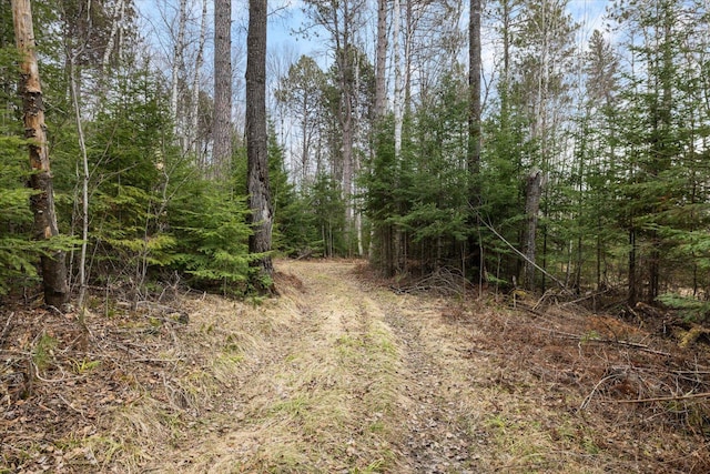 6301 Hunters Pass, Greenwood Twp, MN 55790 - view of woods