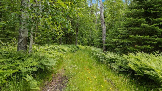 6301 Hunters Pass, Greenwood Twp, MN 55790 - photo 4