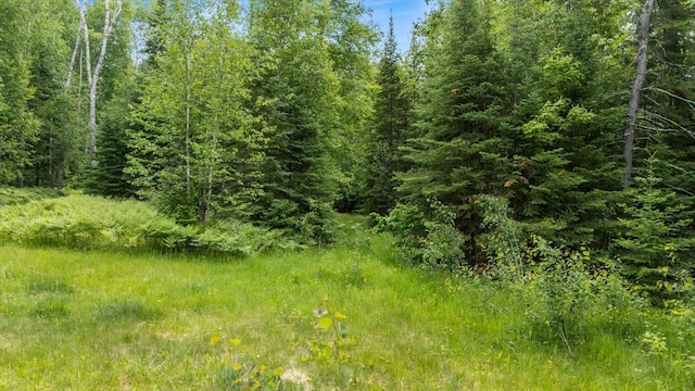 6301 Hunters Pass, Greenwood Twp, MN 55790 - photo 5