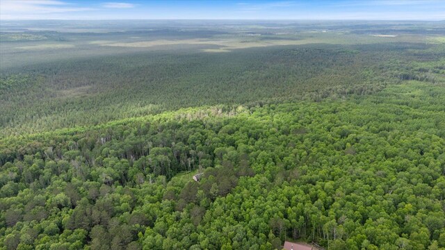 6301 Hunters Pass, Greenwood Twp, MN 55790 - photo 11