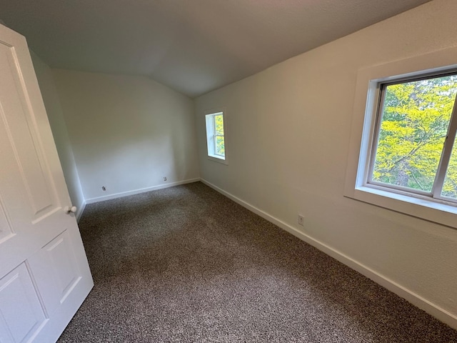 46130 Anchor Ave, Fish Lake Twp, MN 55080 - spare room with carpet floors, lofted ceiling, and baseboards