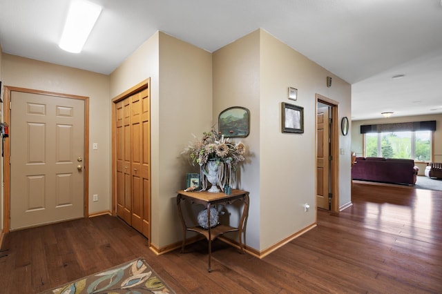 15777 Grover Ave NW, Clearwater Twp, MN 55320 - entryway featuring dark wood-type flooring and baseboards