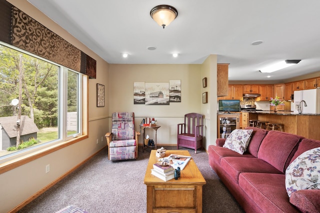 15777 Grover Ave NW, Clearwater Twp, MN 55320 - living area featuring healthy amount of natural light, light colored carpet, and baseboards