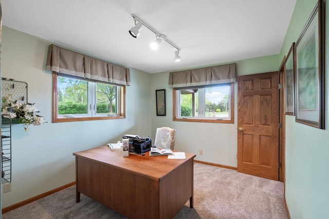 15777 Grover Ave NW, Clearwater Twp, MN 55320 - carpeted home office featuring plenty of natural light, rail lighting, and baseboards