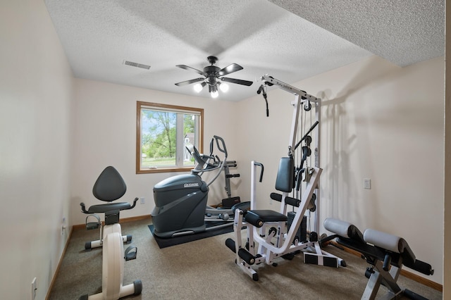 15777 Grover Ave NW, Clearwater Twp, MN 55320 - exercise room featuring a ceiling fan, a textured ceiling, carpet flooring, and baseboards