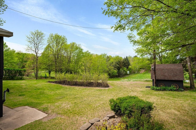 15777 Grover Ave NW, Clearwater Twp, MN 55320 - view of grassy yard featuring a storage unit and an outbuilding