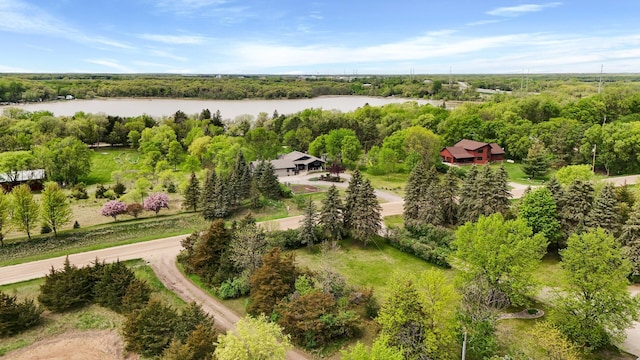 15777 Grover Ave NW, Clearwater Twp, MN 55320 - drone / aerial view of a large body of water and a tree filled landscape