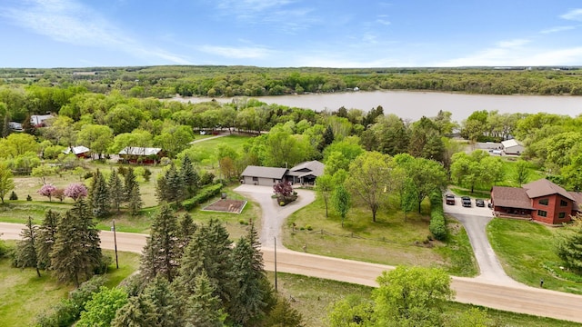 15777 Grover Ave NW, Clearwater Twp, MN 55320 - drone / aerial view of a large body of water and a forest