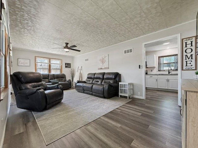 213 1st Ave E, Truman, MN 56088 - living area featuring plenty of natural light, a ceiling fan, dark wood-type flooring, and ornamental molding
