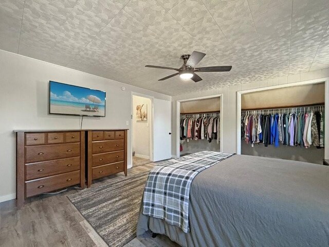 213 1st Ave E, Truman, MN 56088 - bedroom featuring wood finished floors, multiple closets, baseboards, and ceiling fan