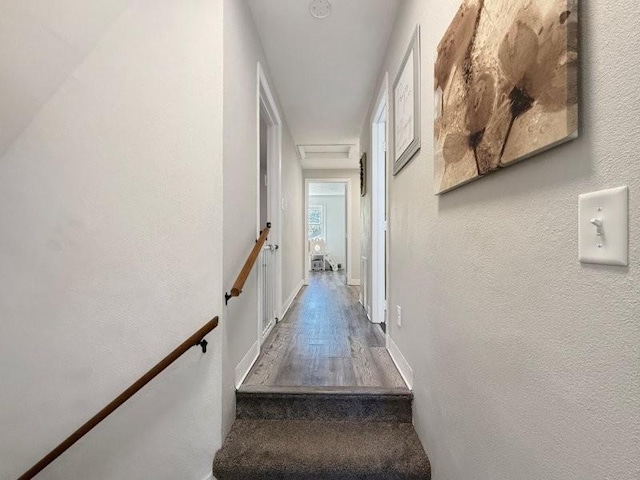 213 1st Ave E, Truman, MN 56088 - staircase featuring wood finished floors
