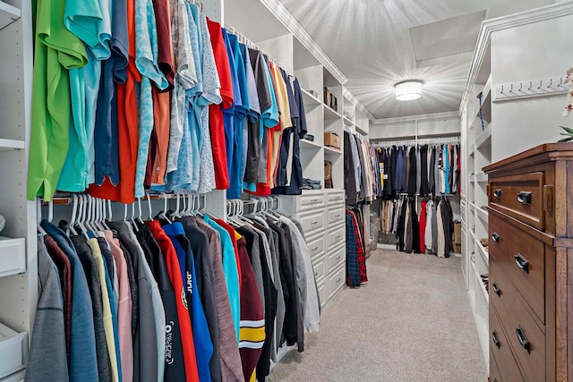 5315 Ranchview Ln N, Plymouth, MN 55446 - walk in closet featuring carpet floors