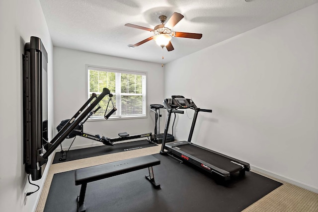 5315 Ranchview Ln N, Plymouth, MN 55446 - workout area with ceiling fan, baseboards, and a textured ceiling