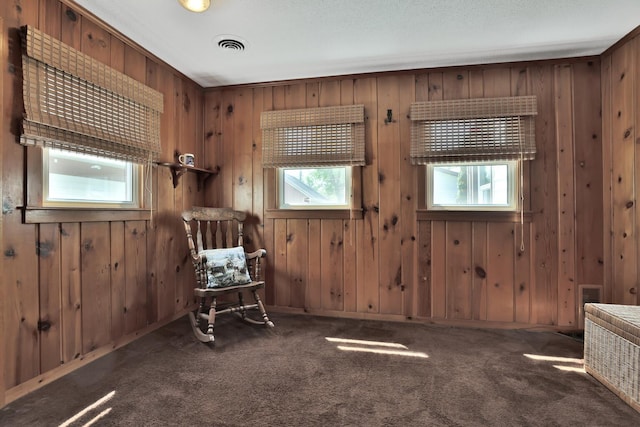 1379 7th Ave SE, Forest Lake, MN 55025 - living area with carpet and wooden walls