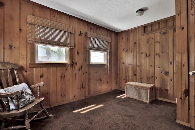 1379 7th Ave SE, Forest Lake, MN 55025 - living area with wooden walls, carpet floors, a textured ceiling, and baseboards