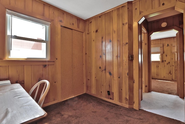1379 7th Ave SE, Forest Lake, MN 55025 - unfurnished office featuring dark colored carpet and wooden walls