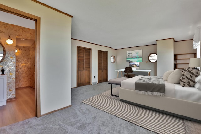 1379 7th Ave SE, Forest Lake, MN 55025 - carpeted bedroom with baseboards, multiple closets, and crown molding