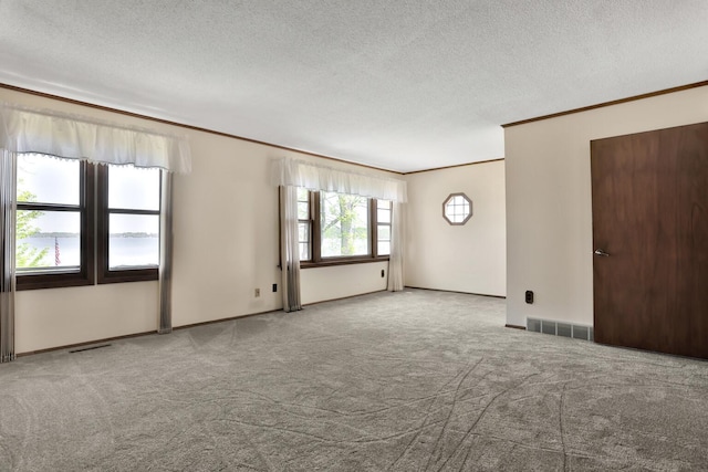 1379 7th Ave SE, Forest Lake, MN 55025 - spare room with ornamental molding, carpet, and a textured ceiling