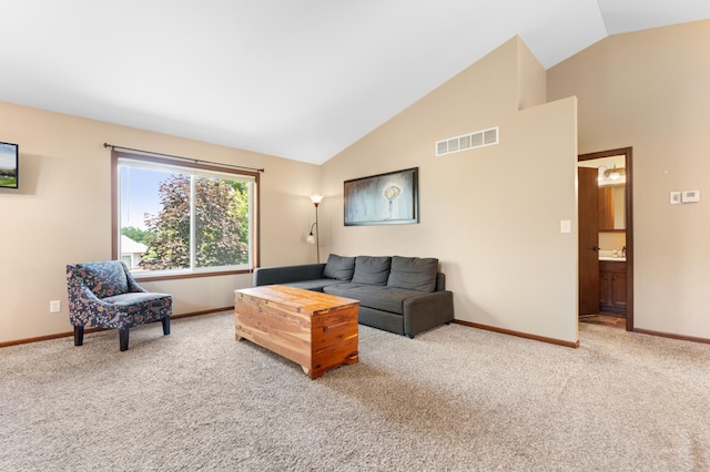 829 Dubuque Blvd, Zumbrota, MN 55992 - living room featuring carpet floors and high vaulted ceiling