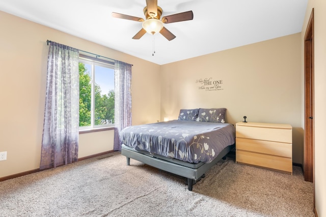 829 Dubuque Blvd, Zumbrota, MN 55992 - carpeted bedroom featuring baseboards and a ceiling fan