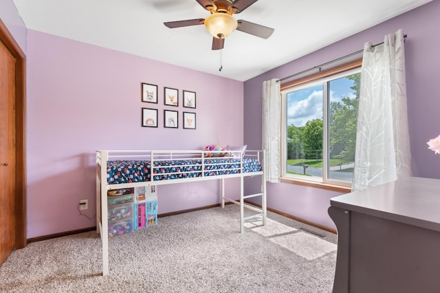 829 Dubuque Blvd, Zumbrota, MN 55992 - bedroom featuring carpet flooring and a ceiling fan
