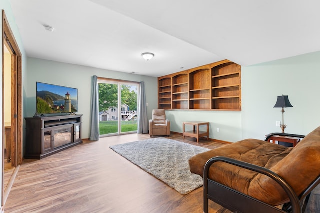 829 Dubuque Blvd, Zumbrota, MN 55992 - living area featuring wood finished floors and a fireplace