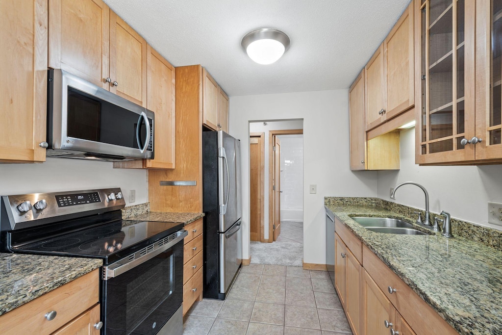 1725 Dellwood Ave Unit 206, Roseville, MN 55113 - photo 1
