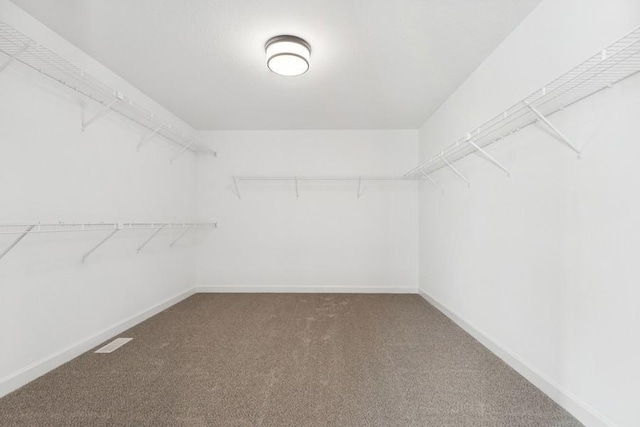 walk in closet with carpet flooring