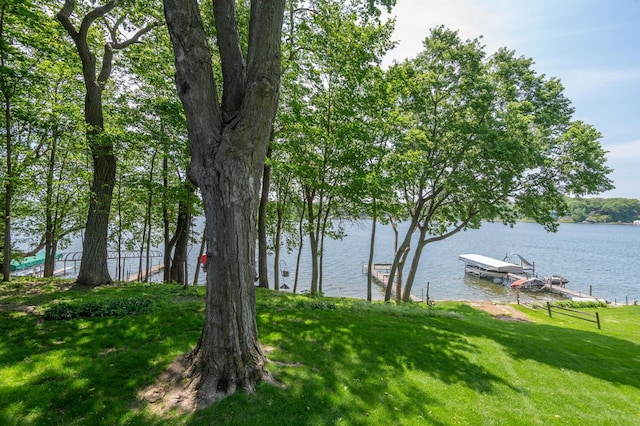 1749 Avocet Ln, Mound, MN 55364 - water view with a boat dock