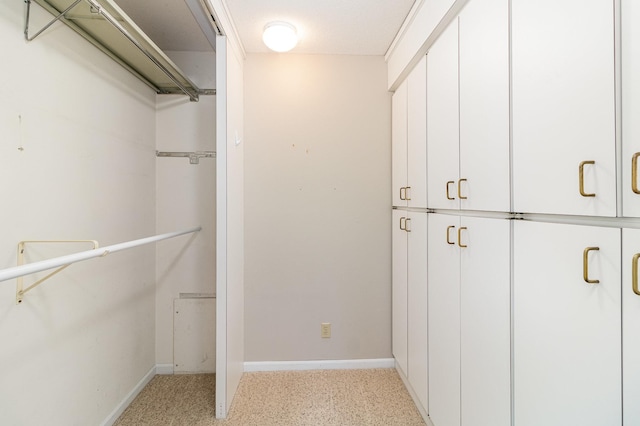 1345 Crestridge Ln Unit 203, Eagan, MN 55123 - view of walk in closet