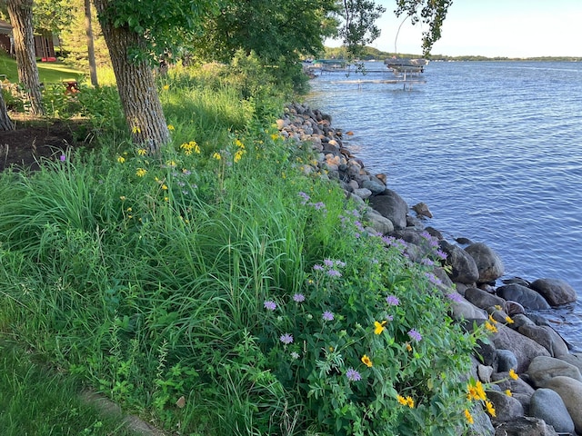 22005 Statesboro Trl, Clitherall, MN 56524 - water view