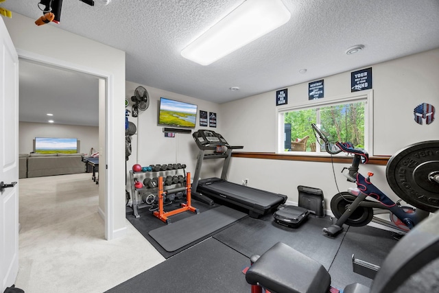 3121 Wild Flower Trl, Medina, MN 55340 - workout room with a textured ceiling and carpet floors