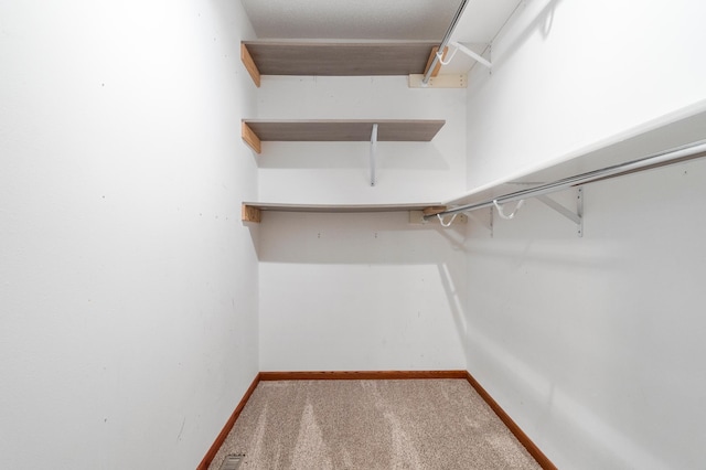 2820 Wilderness Ridge Rd SE, Alexandria, MN 56308 - spacious closet with carpet