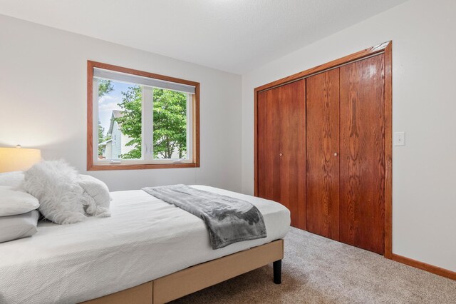 2820 Wilderness Ridge Rd SE, Alexandria, MN 56308 - bedroom with carpet flooring and a closet