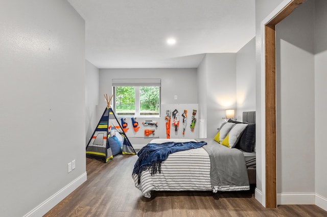 2820 Wilderness Ridge Rd SE, Alexandria, MN 56308 - bedroom with wood finished floors