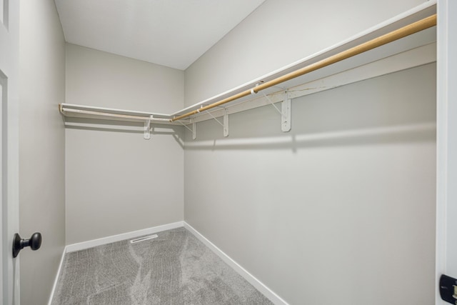 1706 36th St S, Saint Cloud, MN 56301 - spacious closet featuring carpet floors