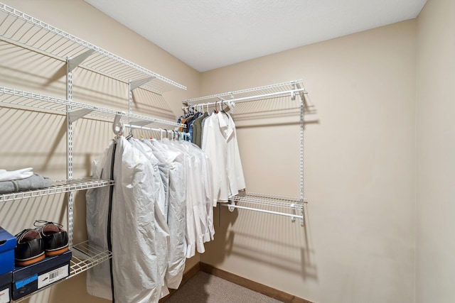 18565 Revere Ave, Spring Lake Twp, MN 55372 - spacious closet featuring carpet floors